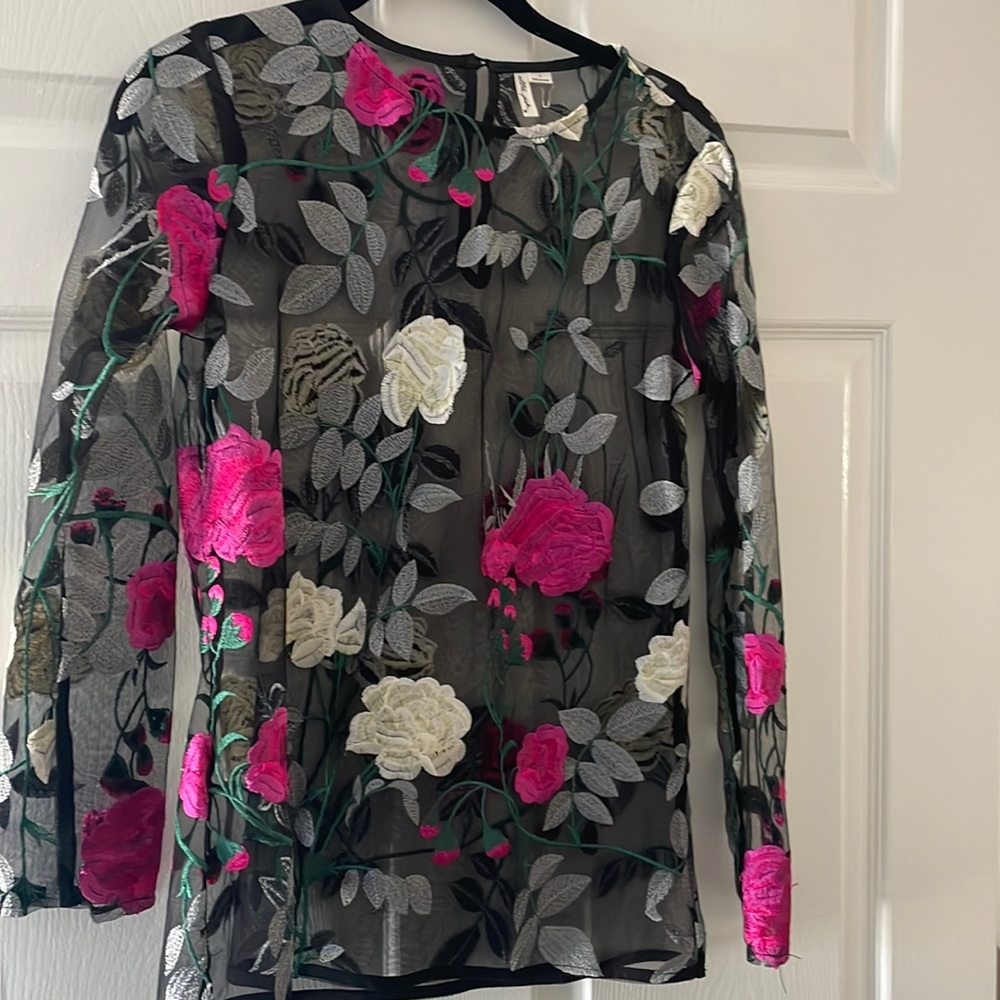 Sheer Black Floral Embroidered Long Sleeve Top